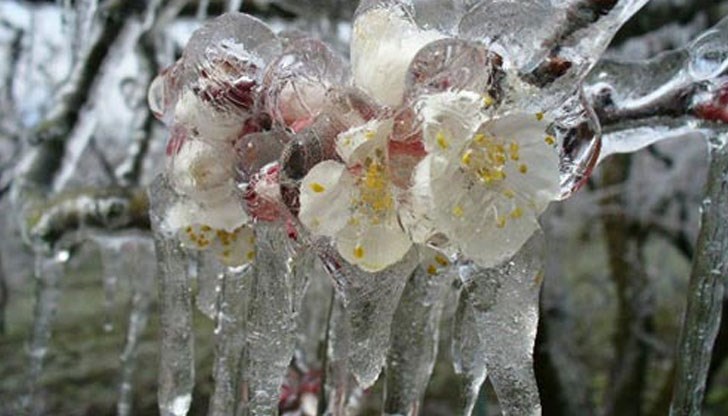 Ето къде температурите стигнаха - 3 градуса