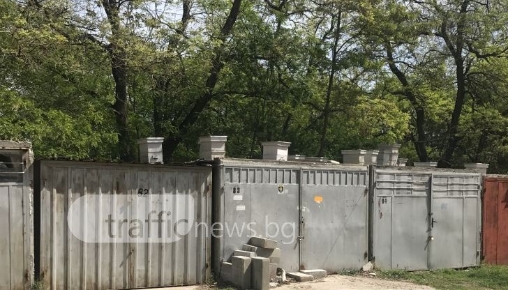 Къде живеем, вече просто не знам, лично мен ме жилят за трети път