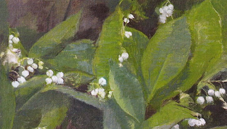 Цветините сълзи се превърнали в дъховито цвете - момина сълза