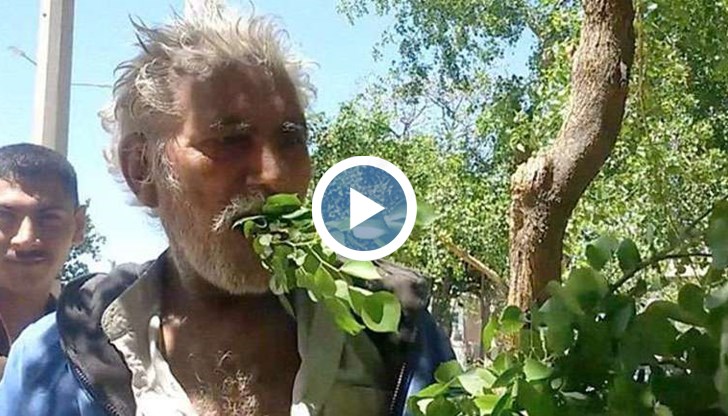 Мехмуд Бут започнал зелената диета заради бедност, никога не е боледувал