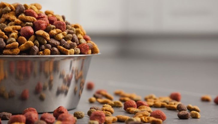 Макар кучешката храна да не изглежда особено апетитна, до голяма степен тя е безопасна за хората Макар кучешката храна да не изглежда особено апетитна, до голяма степен тя е безопасна за хората