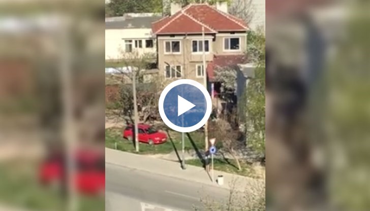 Кючеците и маанетата не секват...