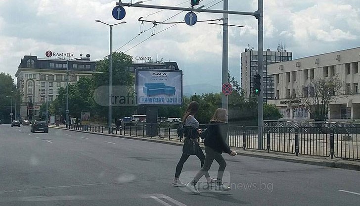 Може да изядат едно конско, но пък това може да спаси живота им