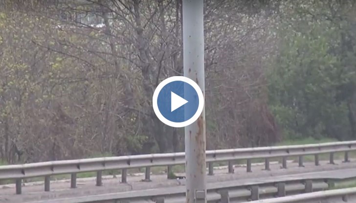 Русенци, които живеят на булевард "България" вероятно няма да получат тъй желания пешеходен надлез