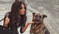 Николета Лозанова спасява бездомни кучета