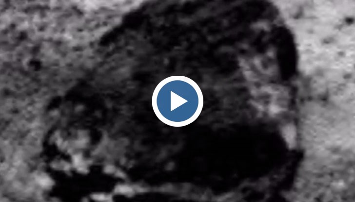 Известният търсач на извънземни Джордж Греъм публикува кадри, на който се виждат цифрите 0 и 2