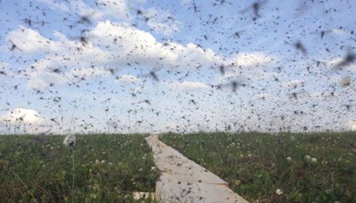 Щом започнат да нападат, ще стане страшно