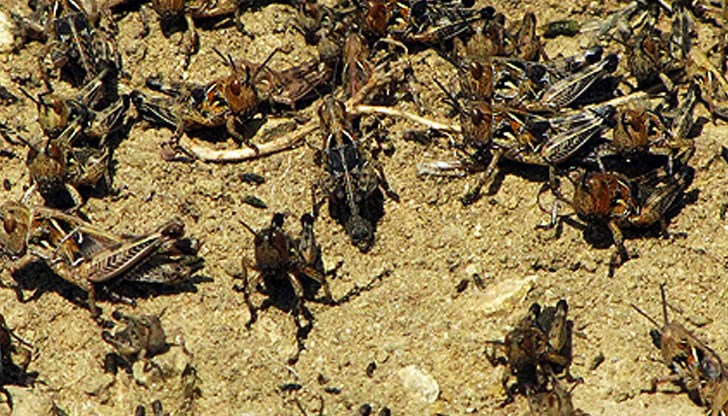 На място е обявено бедствено положение На място е обявено бедствено положение