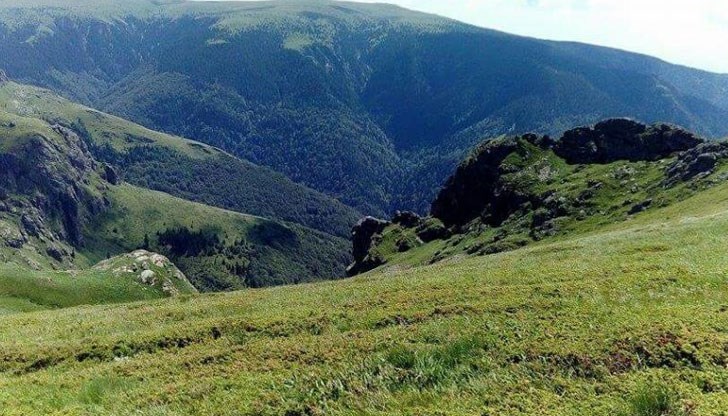 Тялото на мъжа е открито към 11:10 часа, а на жената към 12:15 часа Тялото на мъжа е открито към 11:10 часа, а на жената към 12:15 часа