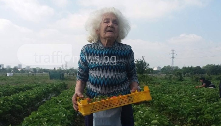 82-годишната жена става в ранни зори, за да отиде да се труди