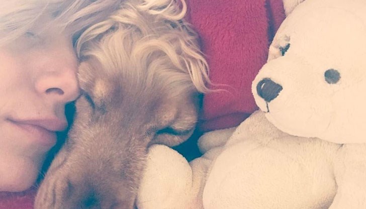 Кучето на Поли Генова се натрови в Южния парк в София Кучето на Поли Генова се натрови в Южния парк в София