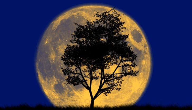 Доказано е, че Супер Луната може да влияе върху прилива