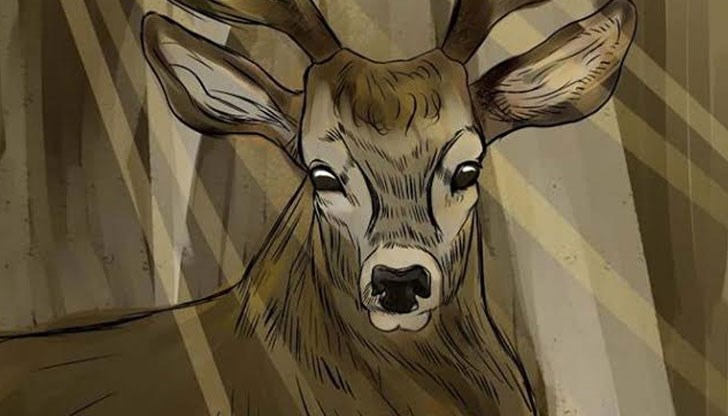 Откриване на първата самостоятелна изложба с графики на Мирела Венциславова Откриване на първата самостоятелна изложба с графики на Мирела Венциславова