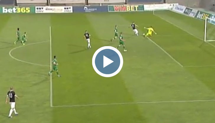 Не стана съвсем ясно дали вратарят Наумов фаулира Мартинович в пеналта на Лудогорец