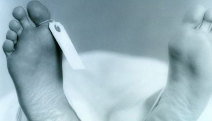 Екоинспекцията в Благоевград е одобрила изграждането на крематориум в Петрич