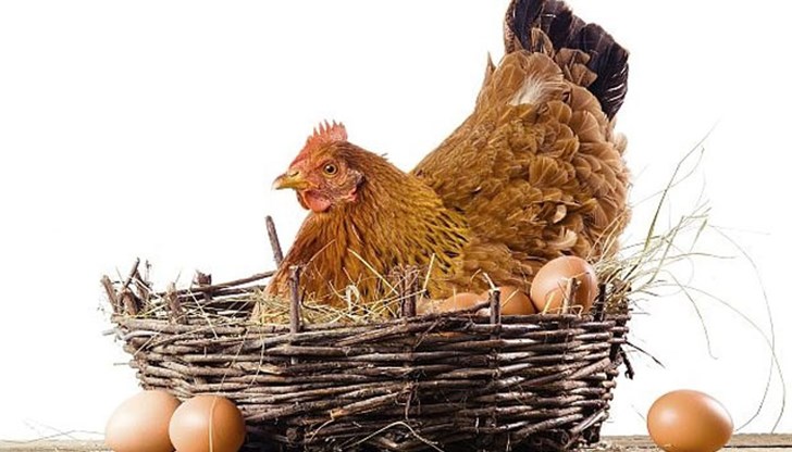 То тежи 165 грама, но всеки ден теглото му намалява