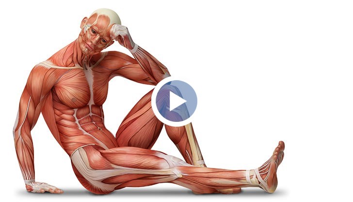 С течение на хиляди години човешкото тяло се е променило значително и еволюирало