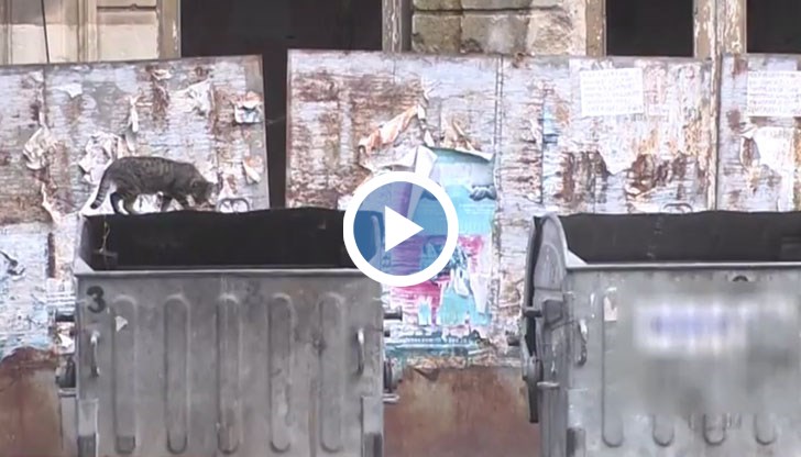 България е единствената страна в Европа, в която такса "смет" за бизнеса се определя спрямо стойността на активите