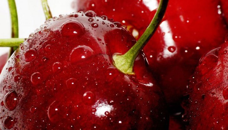 Но през лятото! Но през лятото!