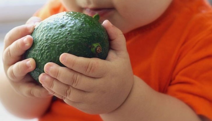 В затворена "Фейсбук" група, родители дават "умопомрачителни" рецепти за отглеждане на бебета В затворена "Фейсбук" група, родители дават "умопомрачителни" рецепти за отглеждане на бебета