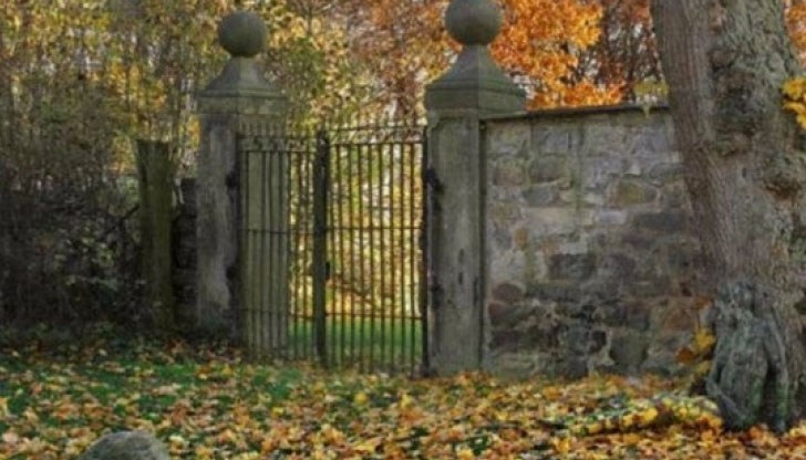 Ако претендирате, че притежавате високо IQ, тогава опитайте да откриете замаскираната с бодипейнтинг жена в главната картинка