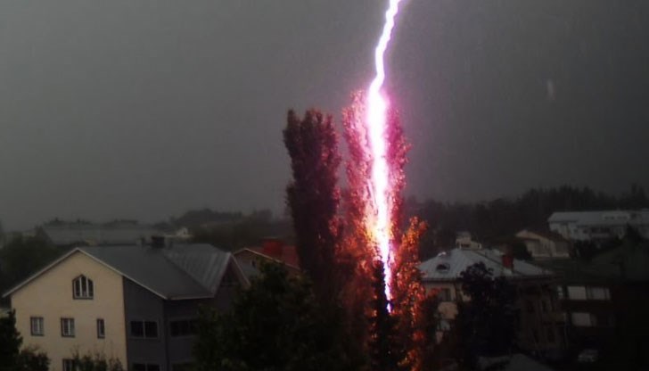 Пламналото дърво е било в опасно близост до жп линията / Снимката е илюстративна