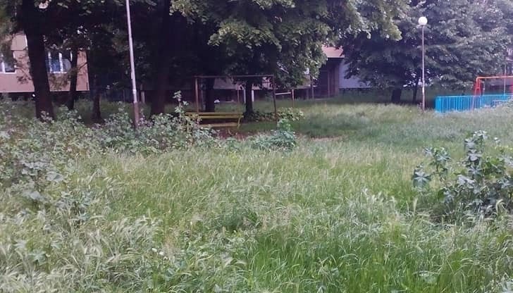 Няма от къде да се минава, да не говорим за място за игра на децата ни!