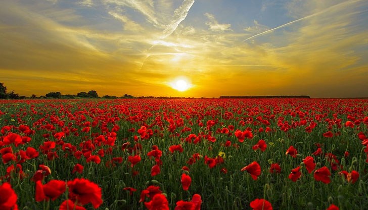 Температурите слабо ще се повишат, максималните ще са между 20° и 25°