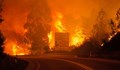 Има ли пострадали българи при огнения ад в Португалия