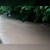 Потоп в Хайдушко дере