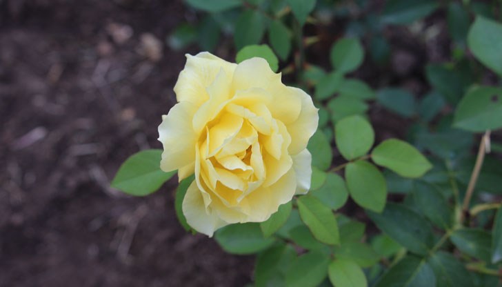 Красивото си е красиво!