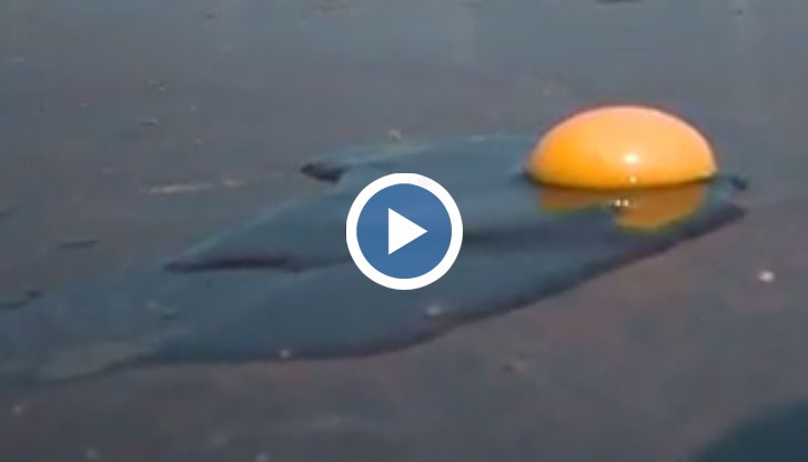 Температурата на въздуха е близо 40 градуса