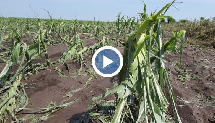 Унищожени са стотици декари с различни култури, както и овощните и зеленчуковите градини