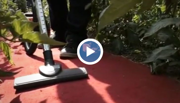 Как една баба придаде светски блясък на градината си