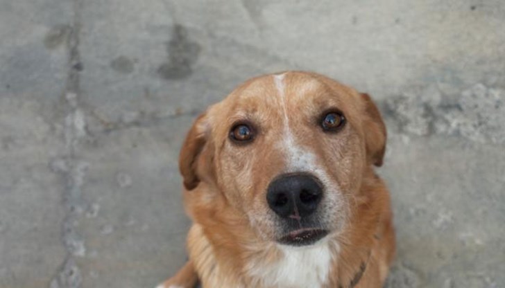 Щях да бъда по-благодарен и добър, щях да споделям и на тези, които си нямат