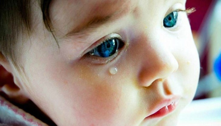 На снимките които се вижда, че то има 7 сериозни рани / Снимката е илюстративна