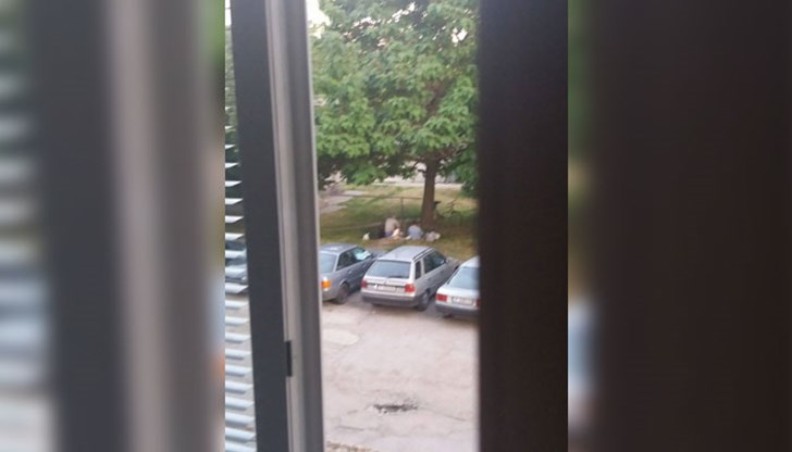 Как мога да не съм доволен?