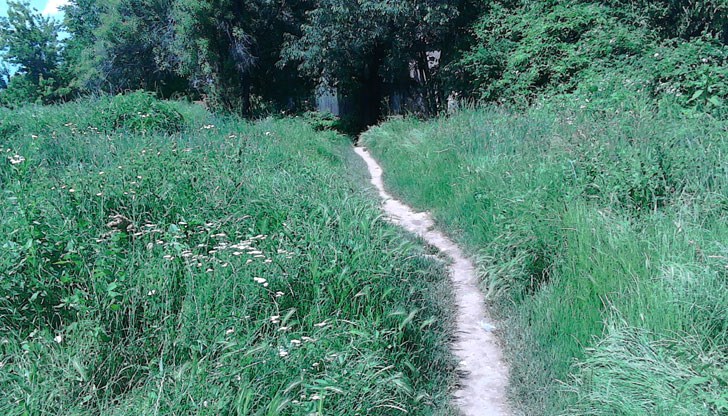 Деца и възрастни са принудени да се борят с тревата в Дружба - 1