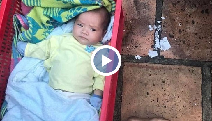 6-годишното му братче отказва да се отдели от него и го брани с цената на всичко