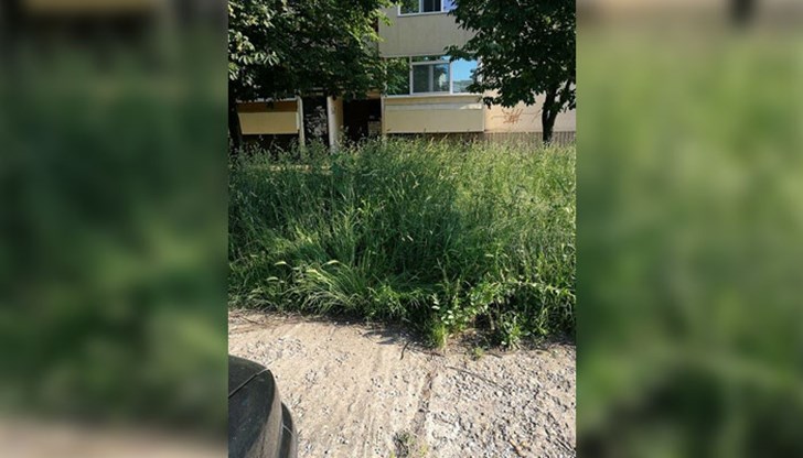 За съжаление това не е единственото място в града