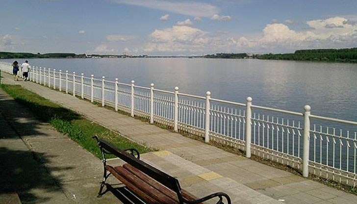 Броят на големите корморани се е увеличил почти двойно