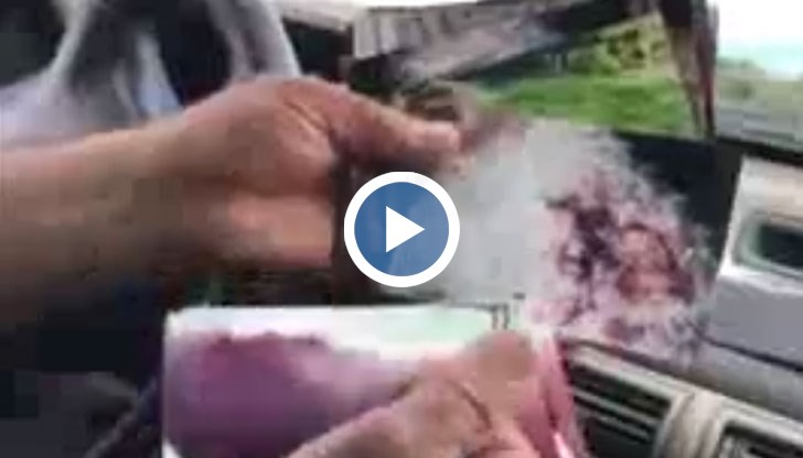 В Несебър посичат крави с брадви, за да абортират