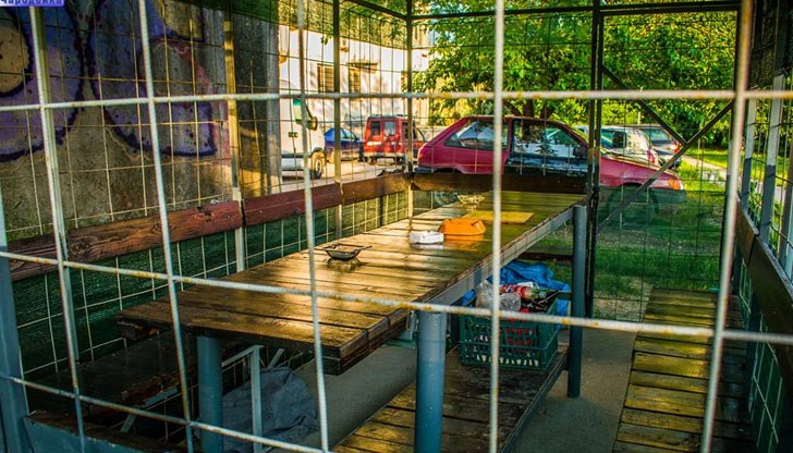 Сами си поддържаме пред блока, но човешката злоба край няма