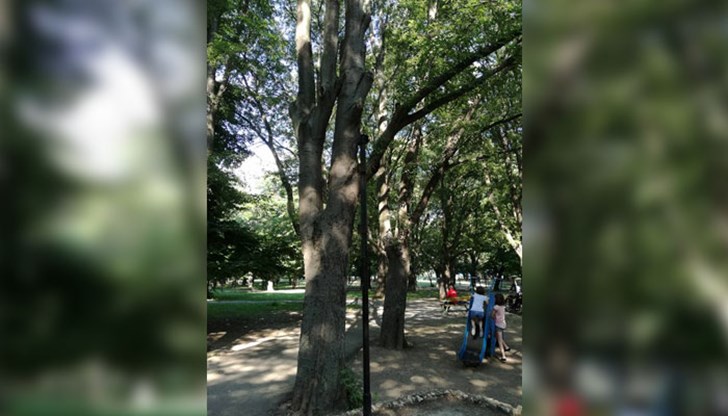 Освен, че не светят, лампите застрашават играещите наблизо деца....