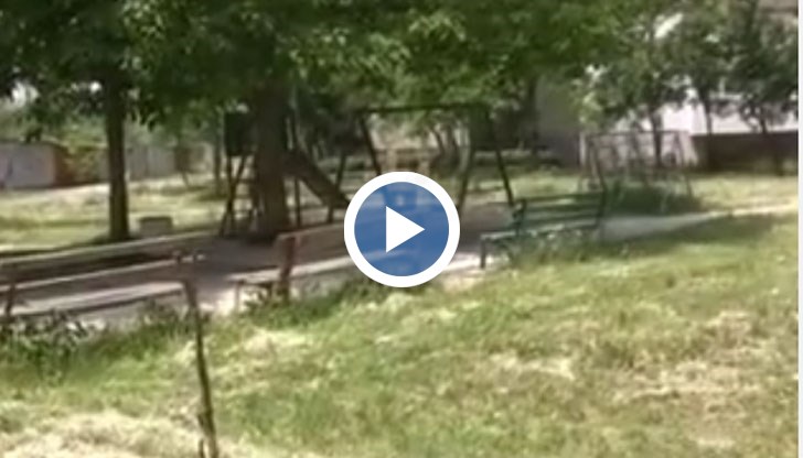 Притеклият се на помощ баща на децата, е улучен в коляното