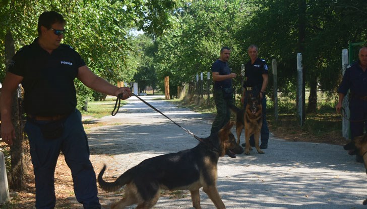 В търсенето участвали полиция, Гражданска защита, куче и доброволци / Снимката е илюстративна