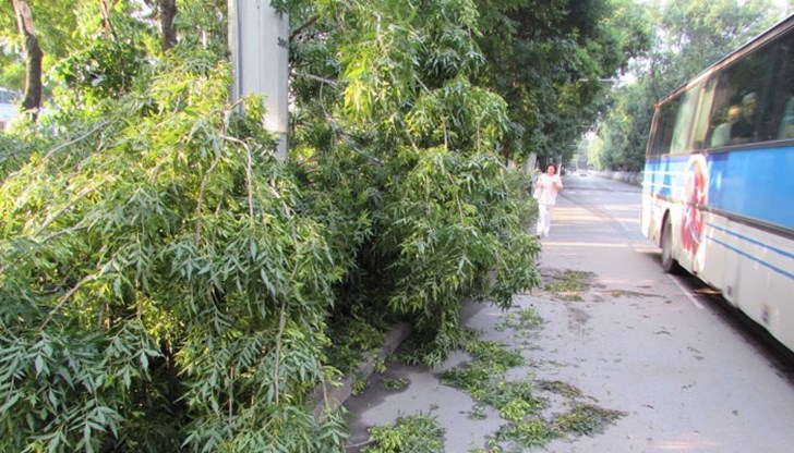 Сериозни щети са нанесени в град Сливо поле и в селата Ряхово, Кошарна, Стамболово, Борисово и Юделник