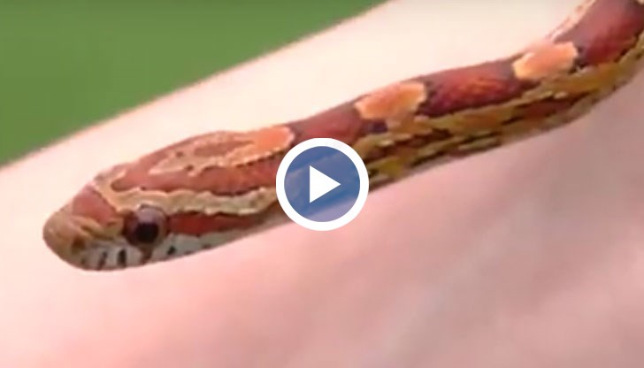 Жената заявила, че причината да направи това е била възпитателна