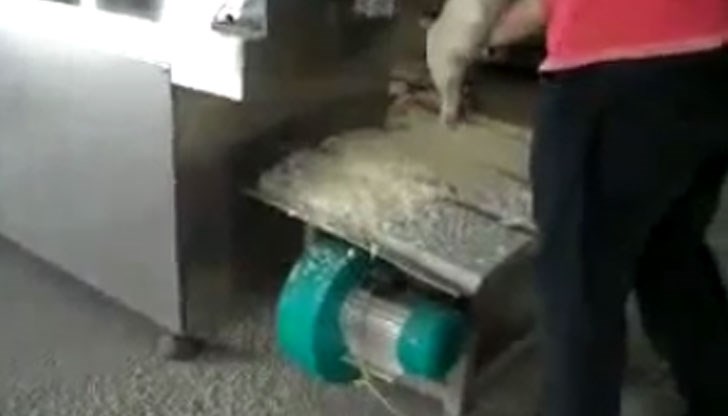 Новият ориз е направен от картофи и синтетична смола! Новият ориз е направен от картофи и синтетична смола!