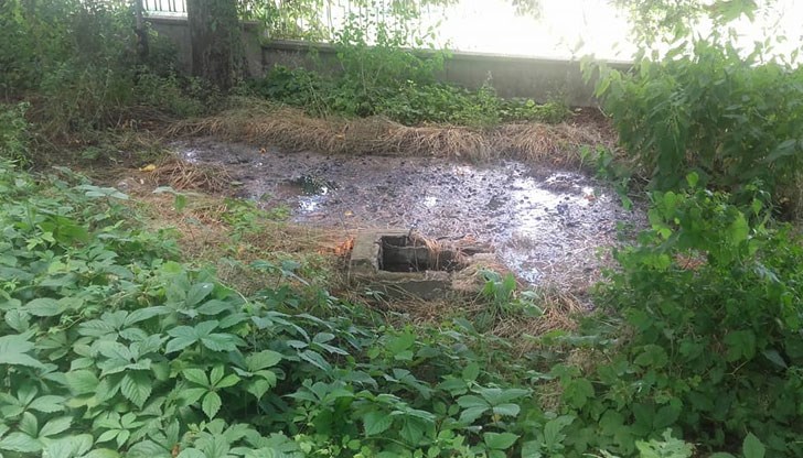 Внимание - вони!